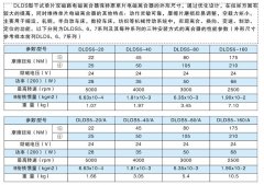 DLDS單片雙磁路電磁離合器